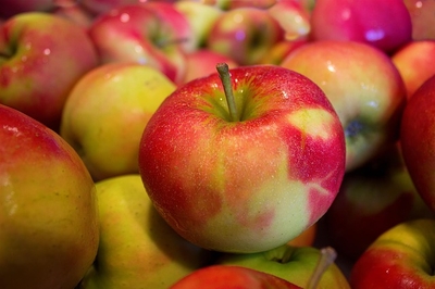 Gala Apples | Produce and Olive Oils