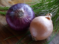 Image Bag of Onions