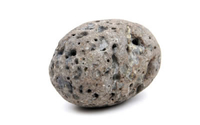 Image Pet Rock