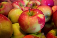 Image Gala Apples